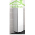 Armoire de douche à 2 portes gauche RIHO BRONI en bois stratifié 40x40 H 137,4 cm